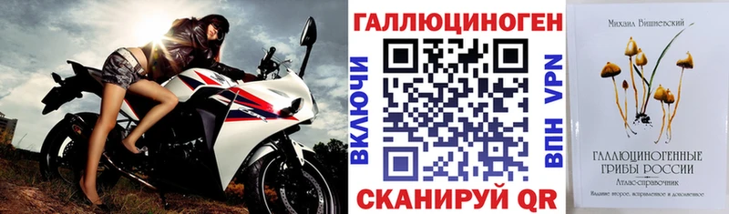 где можно купить наркотик  Навашино  Галлюциногенные грибы MAGIC MUSHROOMS 